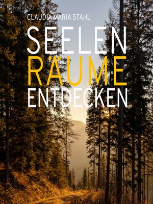 cover image of Seelenräume entdecken